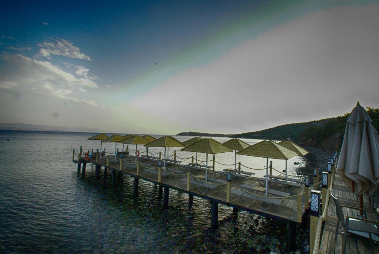 Assos Dionysos Special Class Hotel Adults Only 12 Years 外观 照片