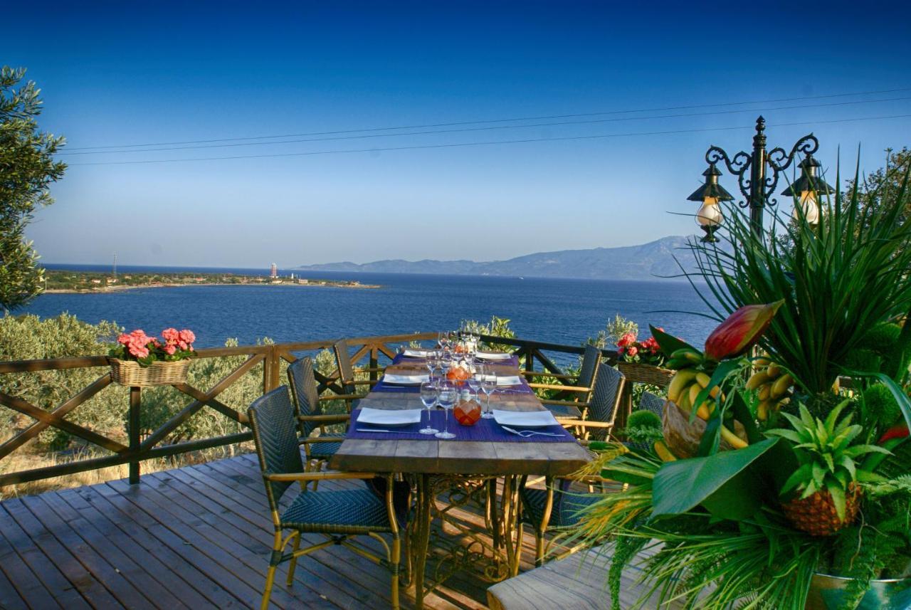 Assos Dionysos Special Class Hotel Adults Only 12 Years 外观 照片