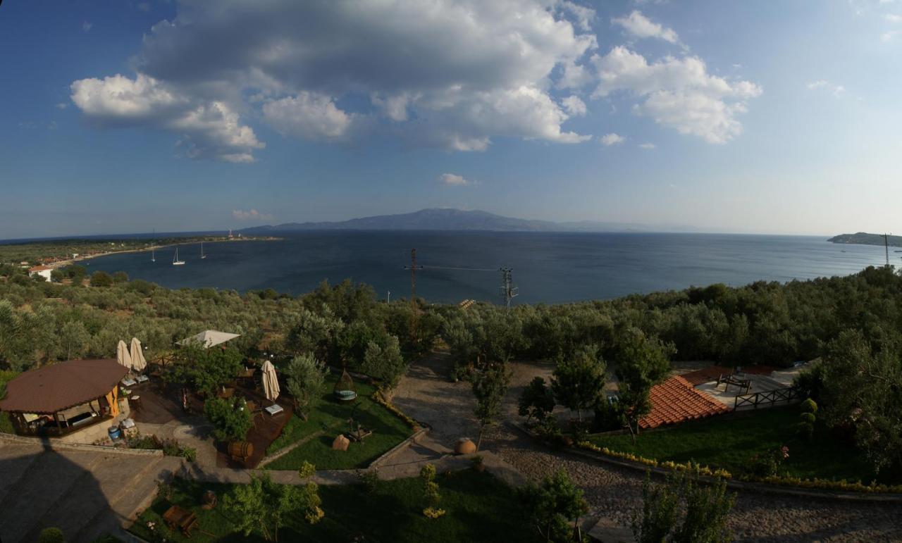 Assos Dionysos Special Class Hotel Adults Only 12 Years 外观 照片