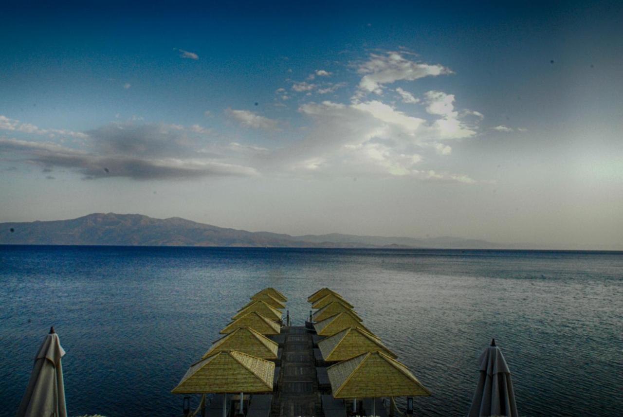 Assos Dionysos Special Class Hotel Adults Only 12 Years 外观 照片