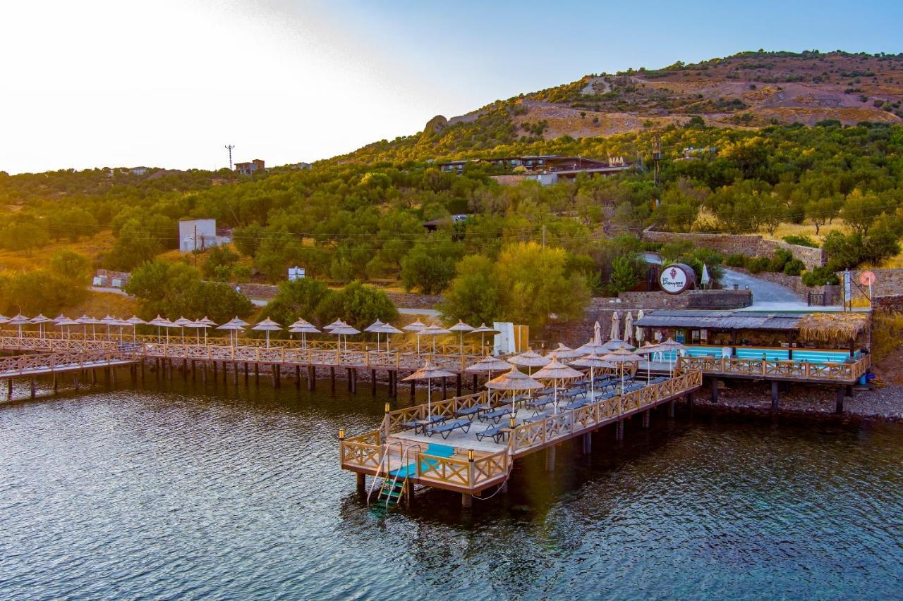 Assos Dionysos Special Class Hotel Adults Only 12 Years 外观 照片