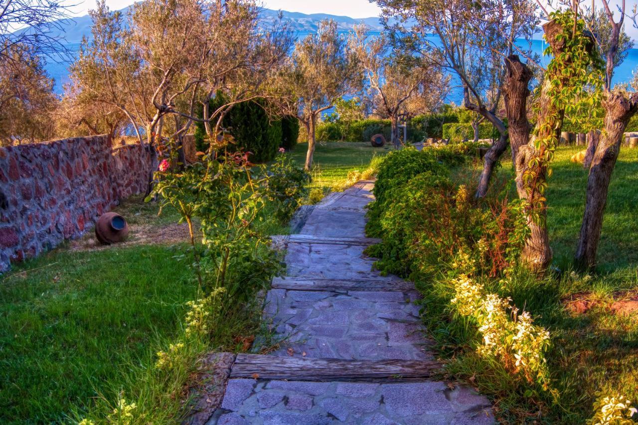 Assos Dionysos Special Class Hotel Adults Only 12 Years 外观 照片