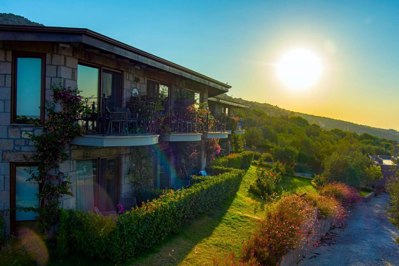 Assos Dionysos Special Class Hotel Adults Only 12 Years 外观 照片