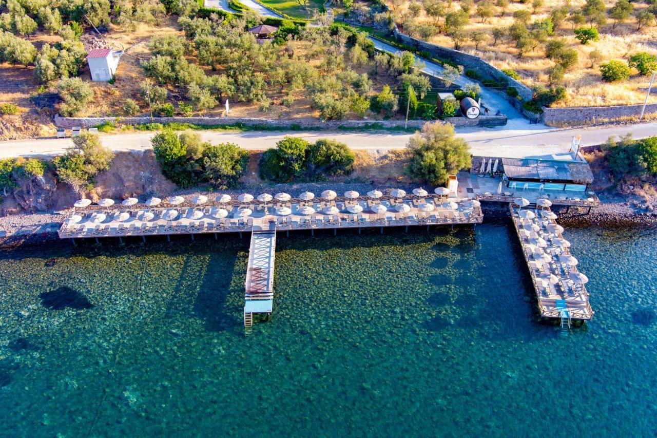 Assos Dionysos Special Class Hotel Adults Only 12 Years 外观 照片